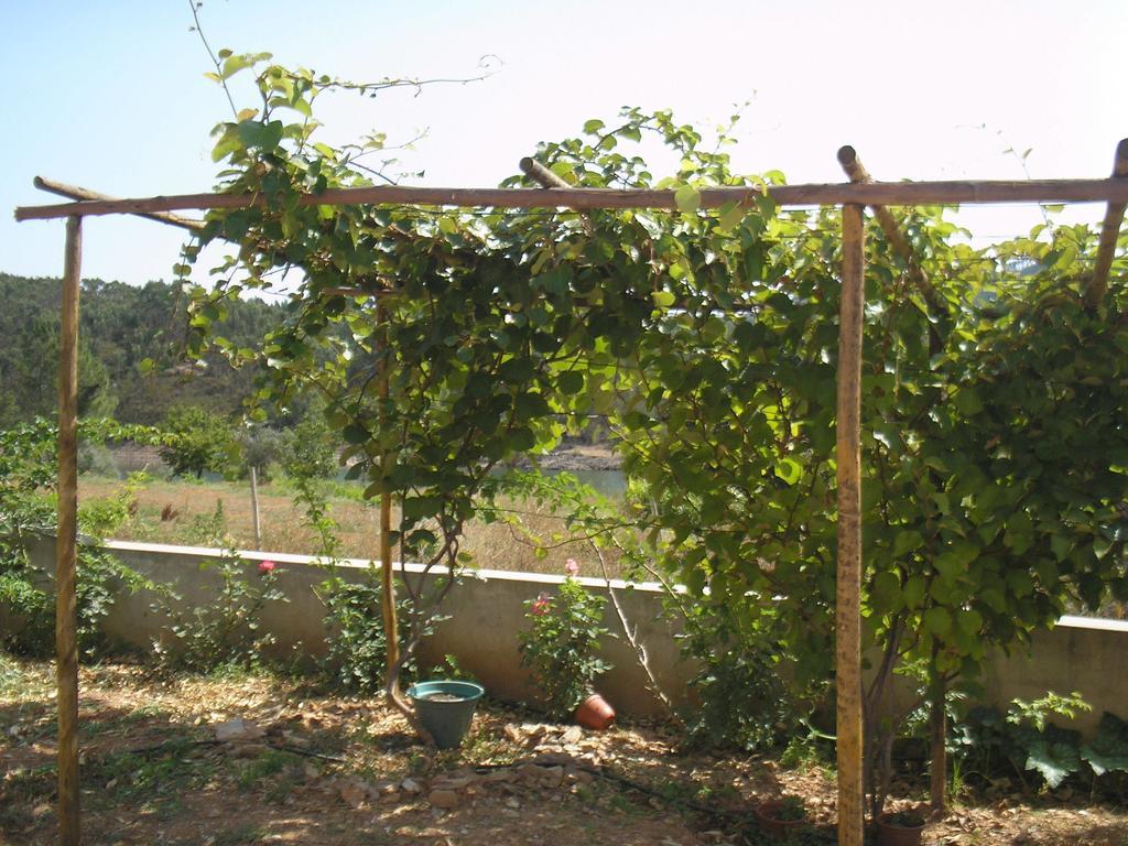 Casa Do Rio Villa Figueiro Dos Vinhos Kamer foto